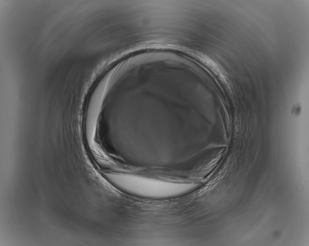 X0000094821334200712141636