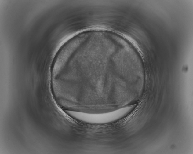 X0000094821335200712141636