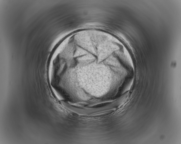 X0000094821336200712141636