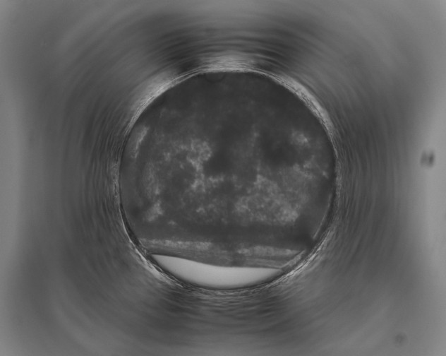 X0000094821337200712141636