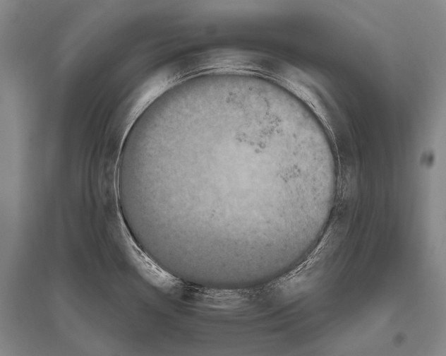 X0000094821338200712141636