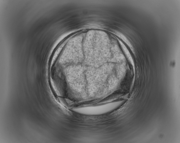 X0000094821339200712141636