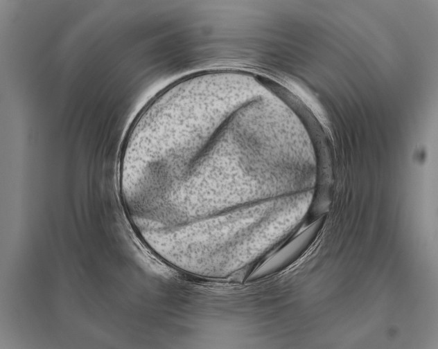 X0000094821340200712141636