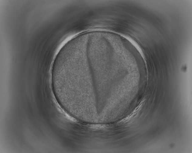 X0000094821341200712141636