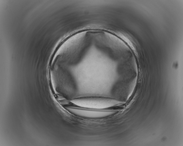 X0000094821342200712141636