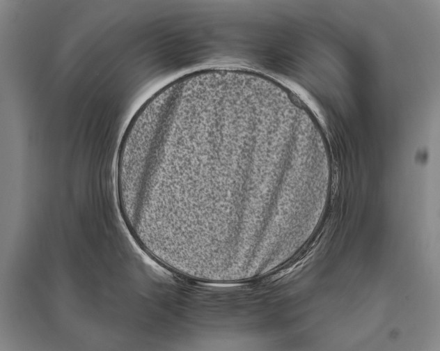 X0000094821343200712141636