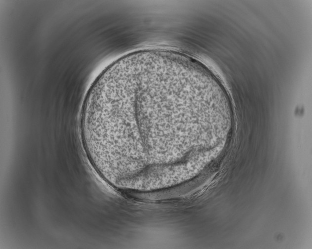 X0000094821344200712141636