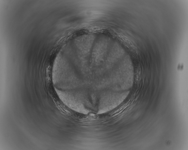 X0000094821346200712141636