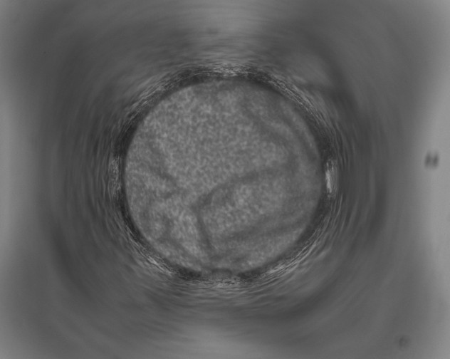 X0000094821347200712141636