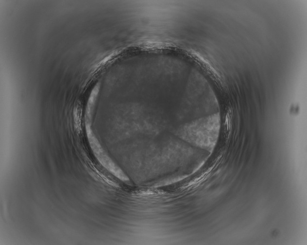 X0000094821348200712141636