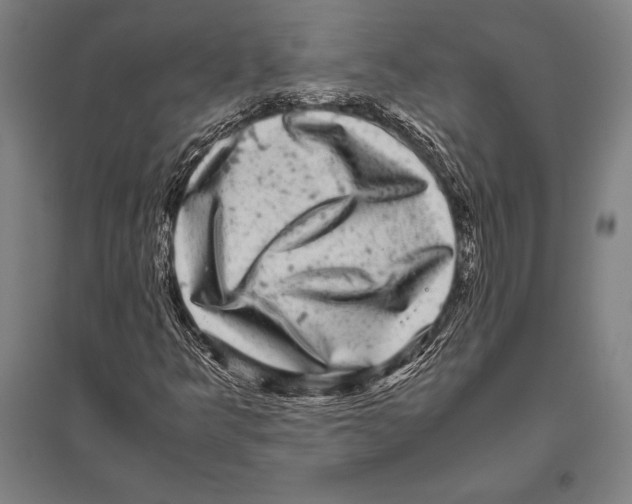 X0000094821349200712141636