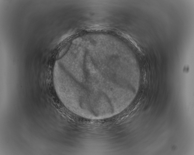 X0000094821350200712141636