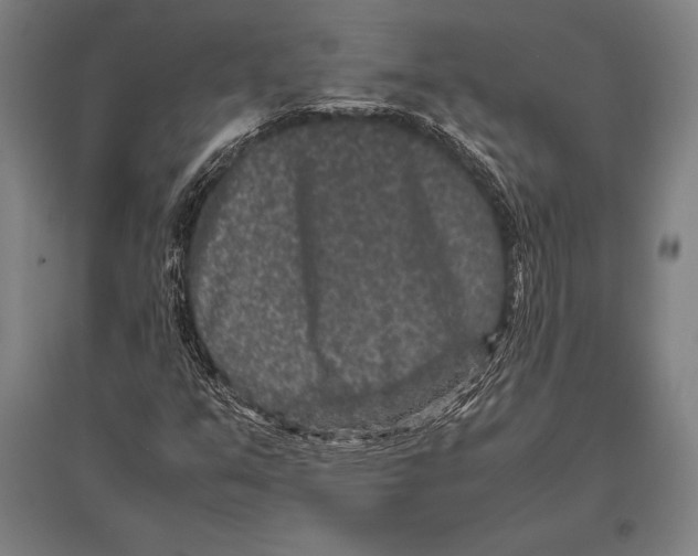 X0000094821351200712141635