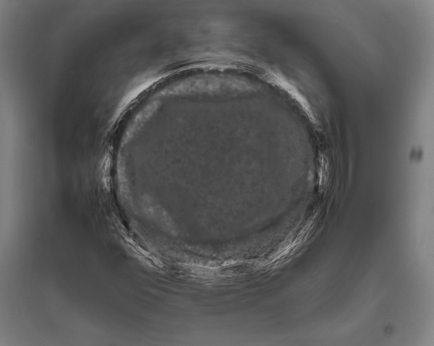 X0000094821352200712141635