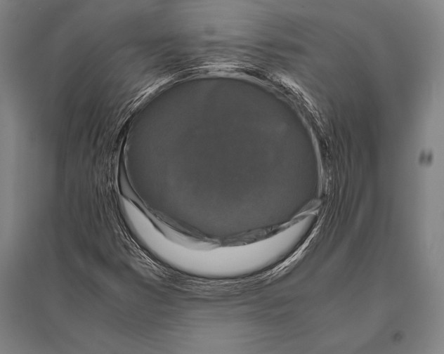 X0000094821353200712141635