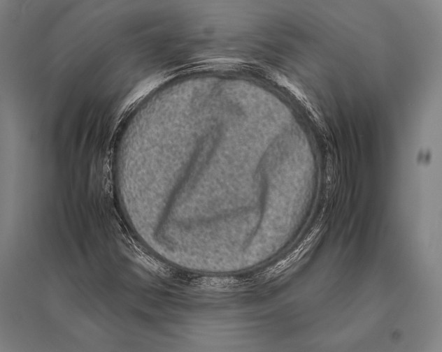 X0000094821354200712141635