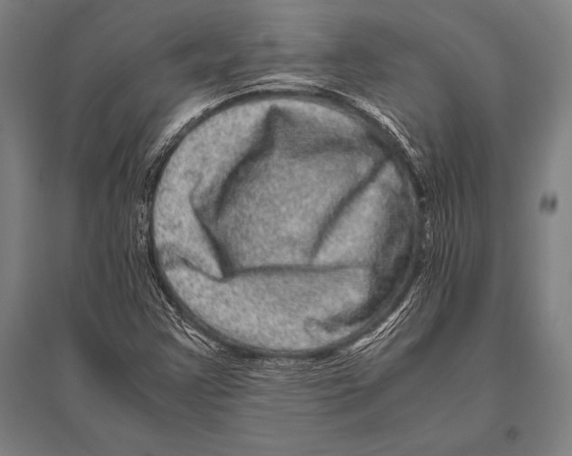 X0000094821355200712141635