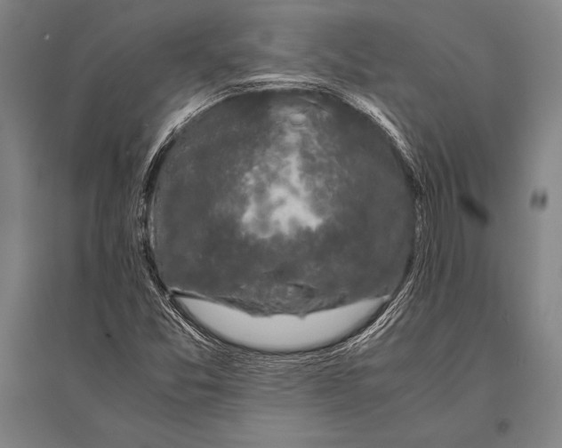 X0000094821357200712141635