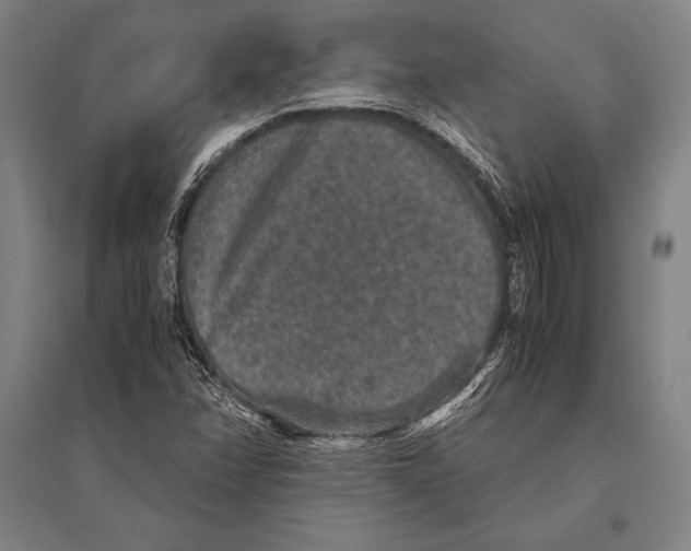 X0000094821358200712141635