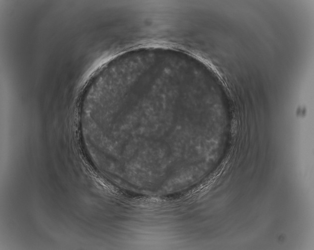 X0000094821359200712141635