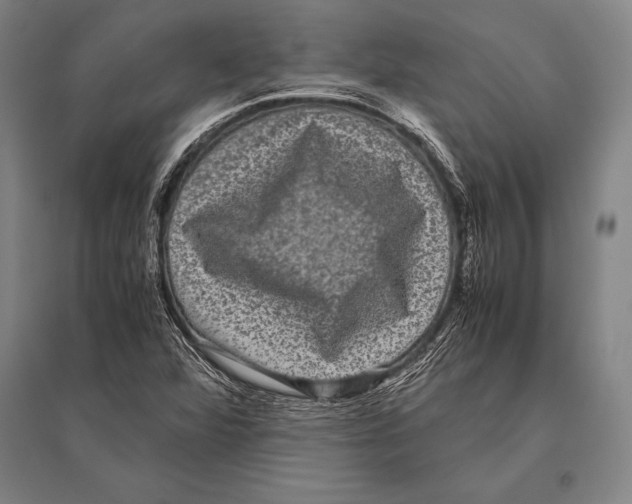 X0000094821360200712141635