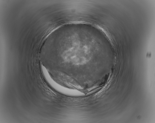 X0000094821361200712141635