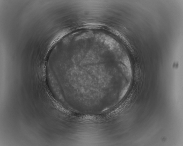 X0000094821362200712141635