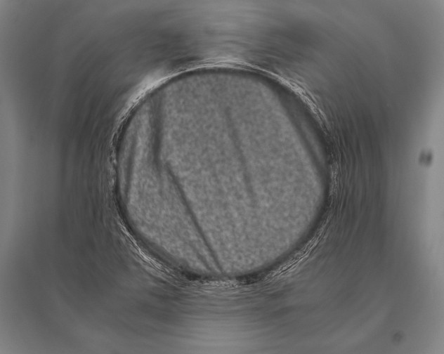 X0000094821363200712141635