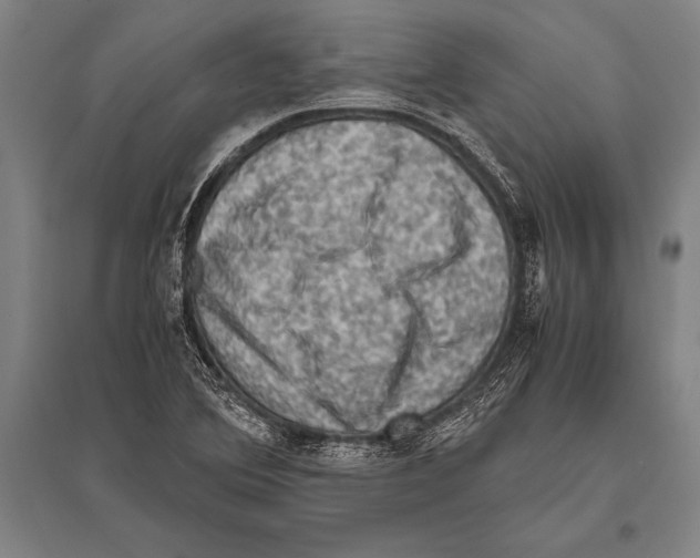 X0000094821364200712141635