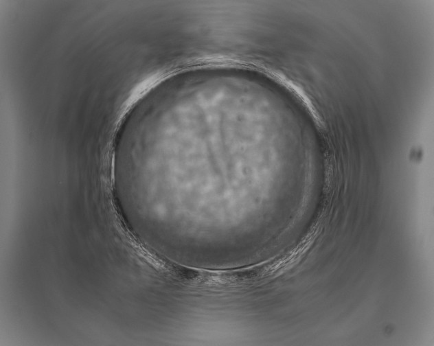 X0000094821365200712141635