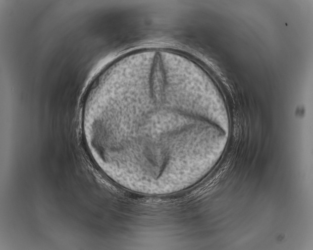 X0000094821366200712141635