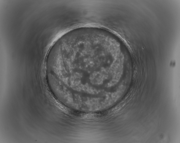 X0000094821367200712141635