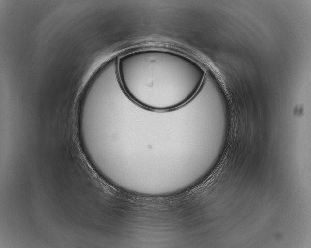 X0000094821368200712141635