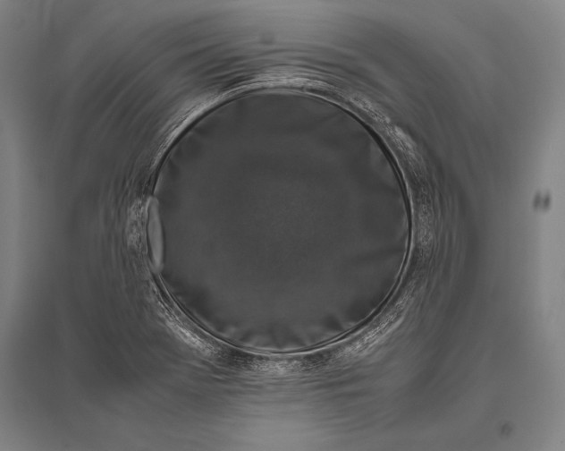 X0000094821369200712141635