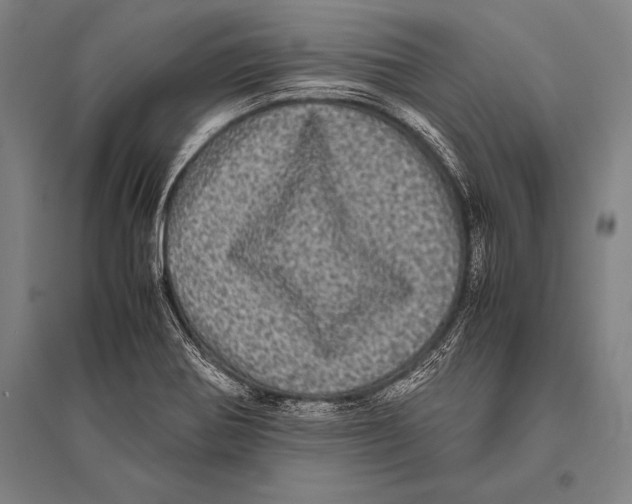 X0000094821370200712141635