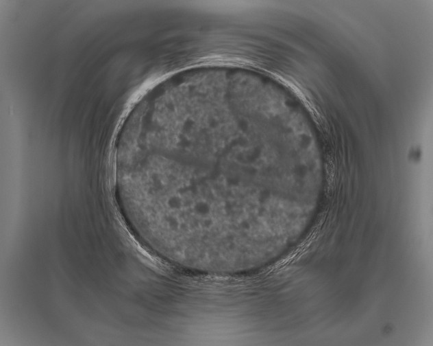 X0000094821371200712141635