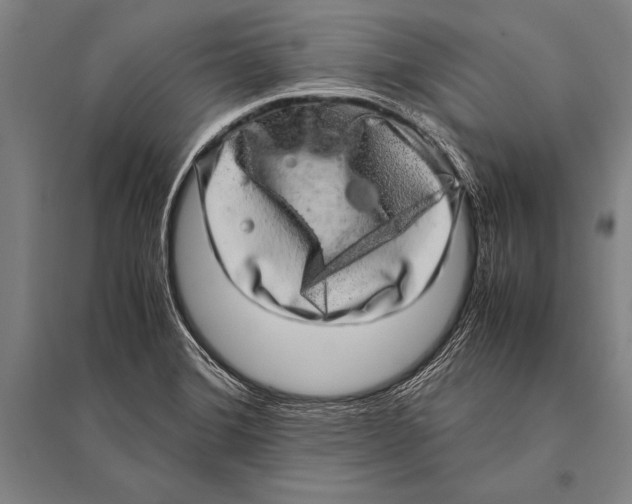 X0000094821372200712141635