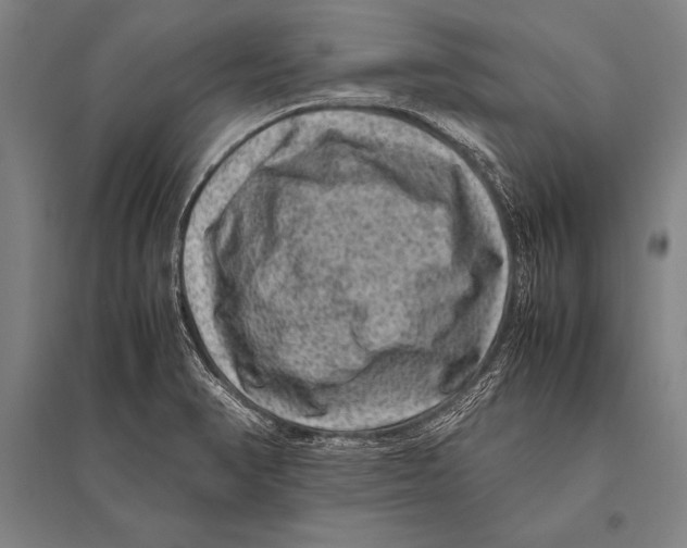 X0000094821374200712141635