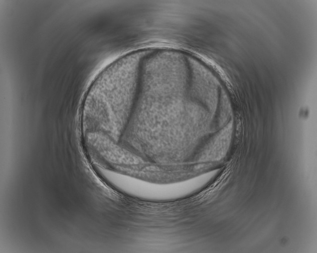 X0000094821375200712141635