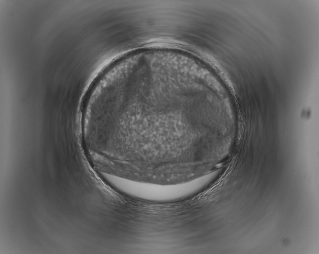 X0000094821376200712141635