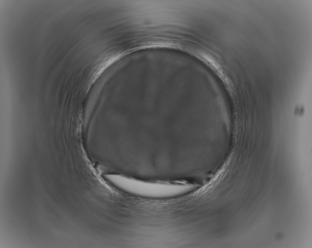 X0000094821377200712141635