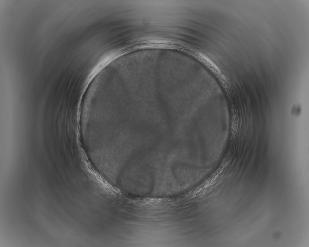 X0000094821378200712141635