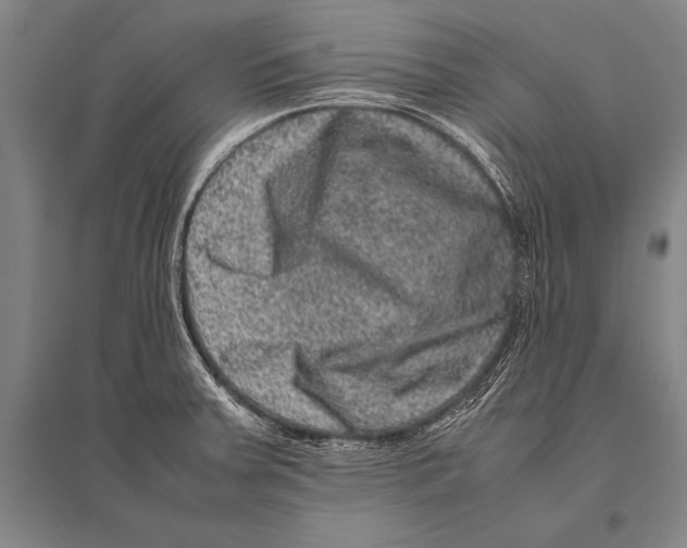 X0000094821379200712141635