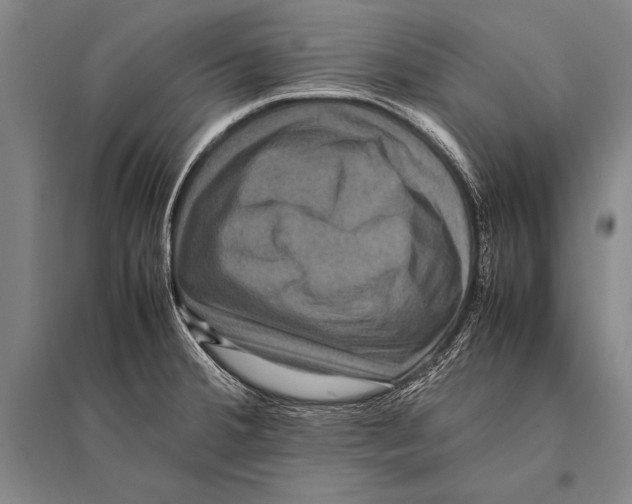 X0000094821380200712141635