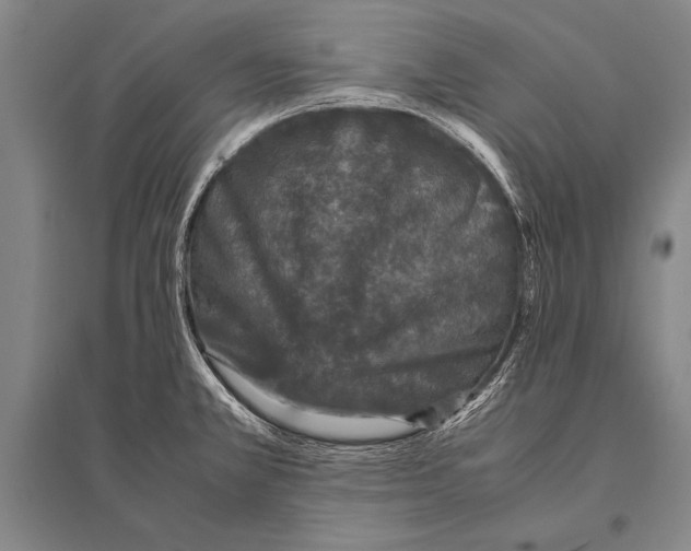 X0000094821381200712141635