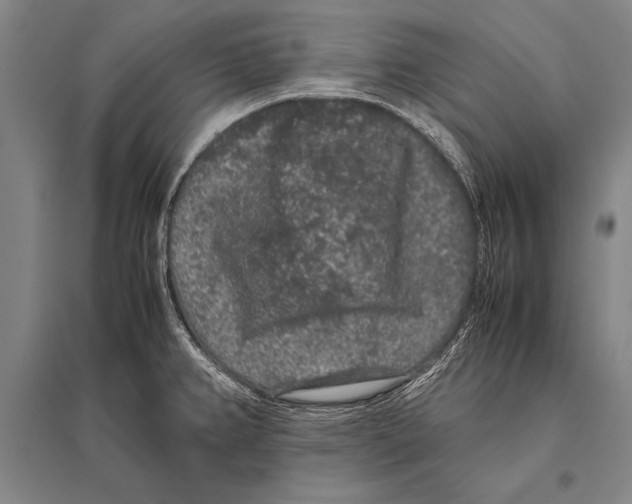 X0000094821382200712141635