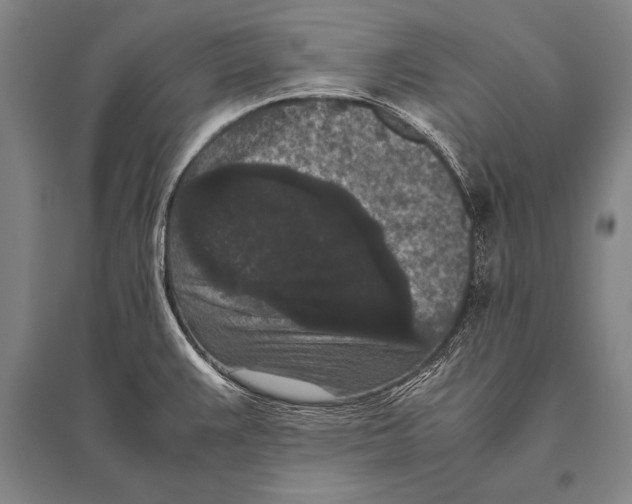 X0000094821383200712141635