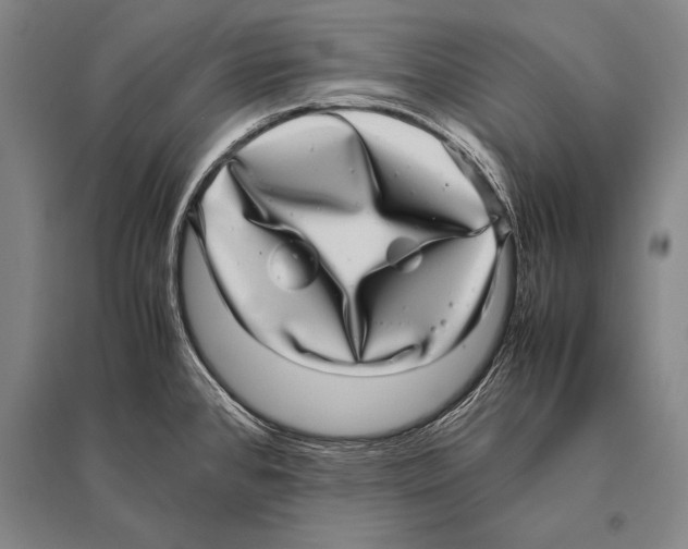 X0000094821384200712141635