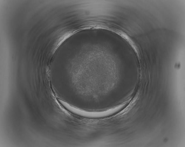 X0000094821385200712141635