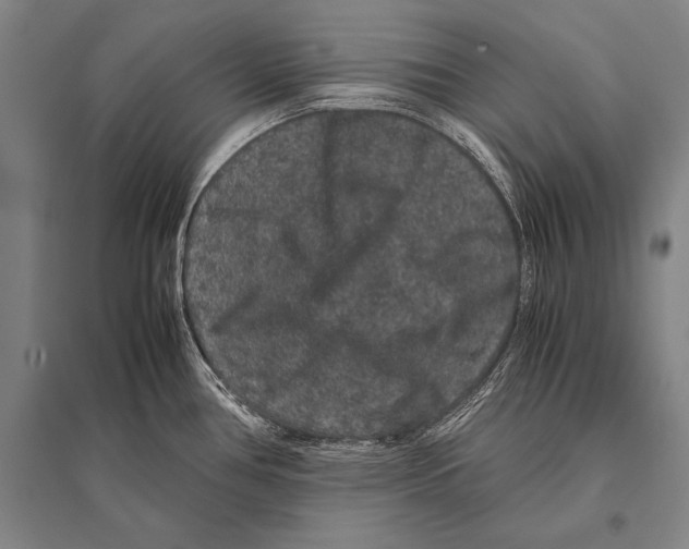 X0000094821386200712141635